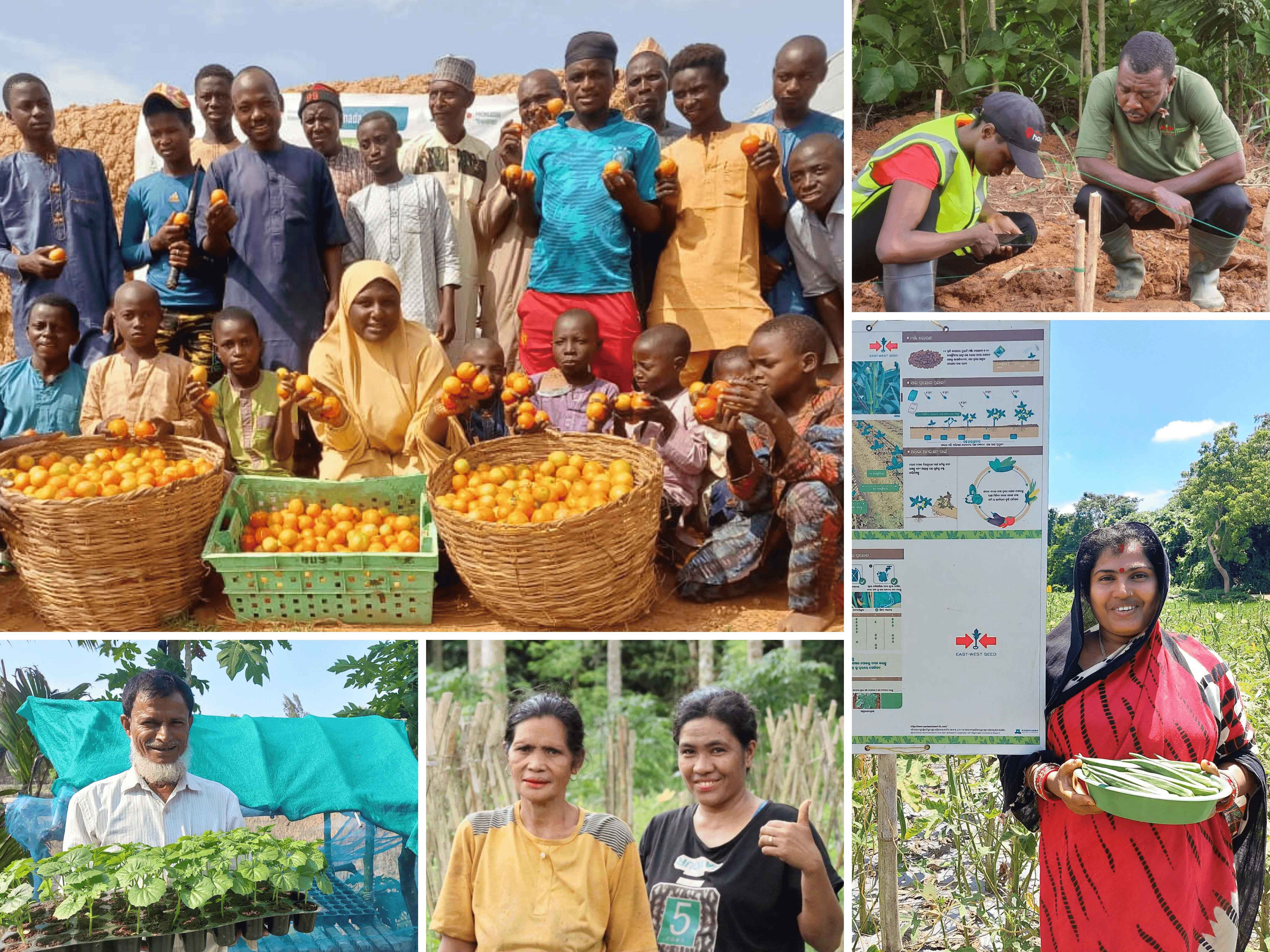 Login image background